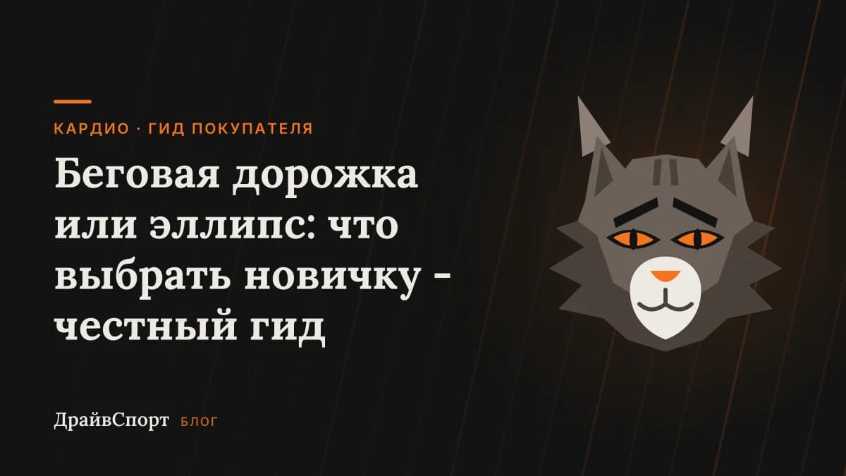 Беговая дорожка или эллипс: что выбрать новичку - честный гид