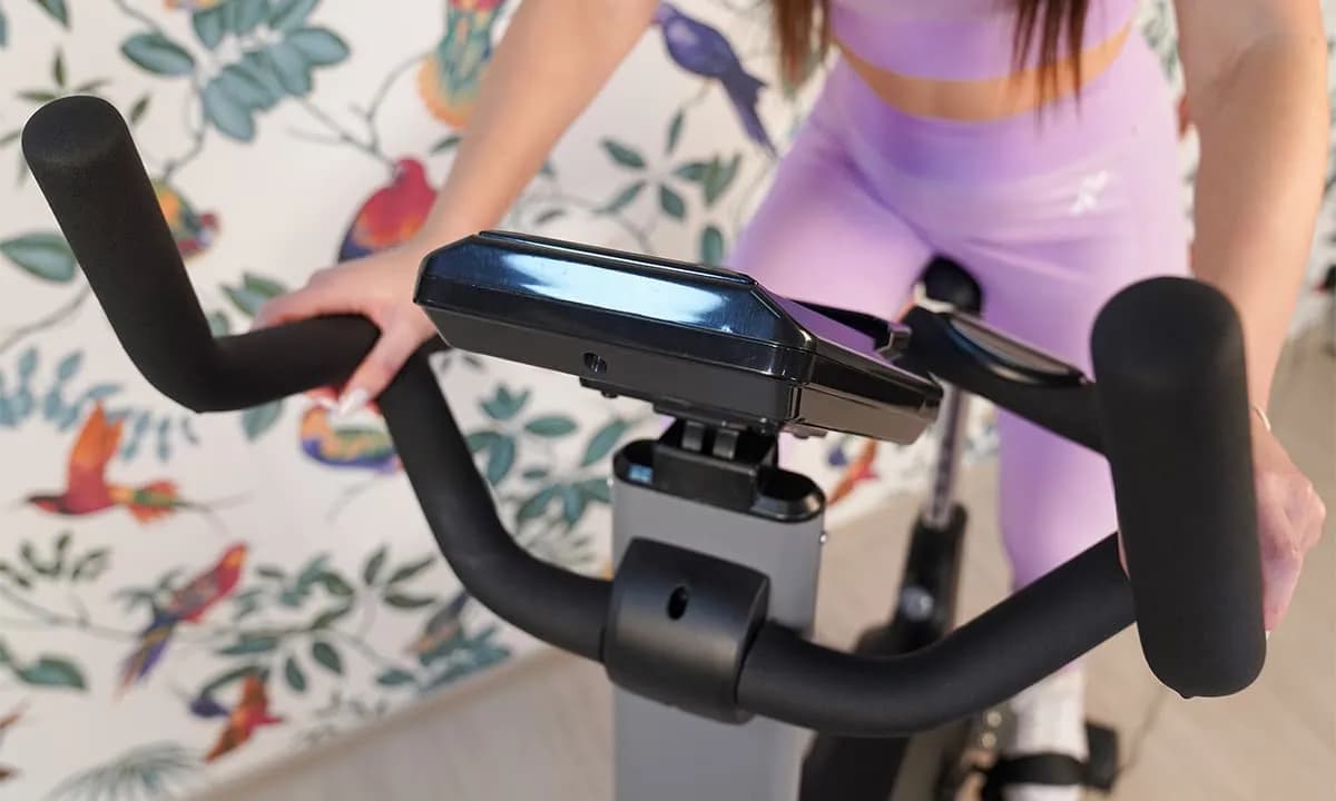 Велотренажер Hasttings Wega S300