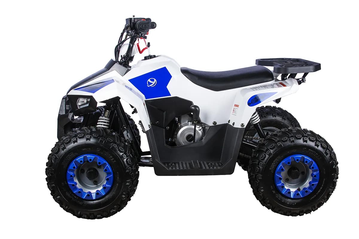 Квадроцикл YACOTA RAPOSA 110